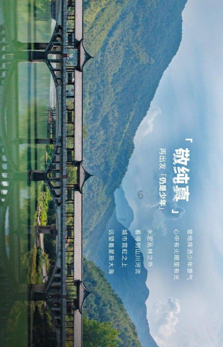 刚出生的奶狗就被高锰酸钾和廉价染发剂染色，只为卖出高价